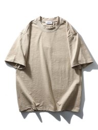 T20251_Apricot